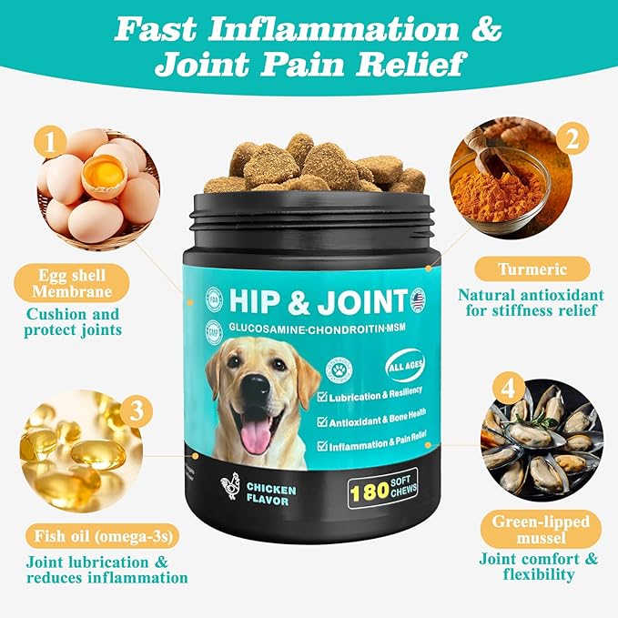 Dog Hip & Joint Supplement – Glucosamine for Dogs Chews with Chondroitin & MSM, Advanced Joint Support for Large & Senior Dogs, Supports Mobility & Everyday Comfort – 180 Count