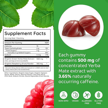HOLYMARY Yerba Mate Gummies, Raspberry Flavor - Energy, Focus, Power Vegan, Non-GMO, Natural Ingredients, Gluten Free, 50 Delicious Supplement Gummies
