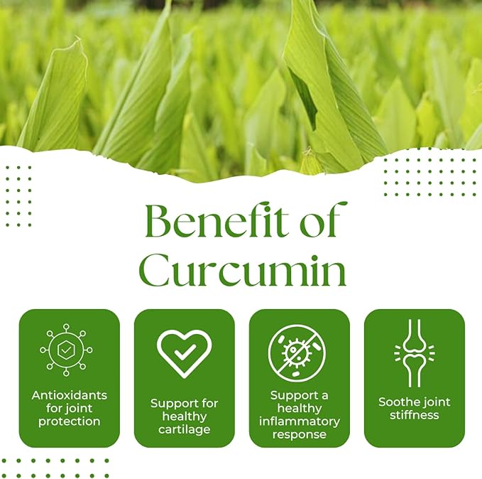 Turmeric Curcumin 750mg, Natural Support for Joint – Non-GMO – 60 Capsules