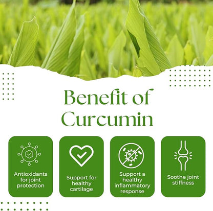 Turmeric Curcumin 750mg, Natural Support for Joint – Non-GMO – 60 Capsules