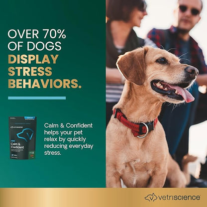VetriScience Clinically Tested Composure Calm & Confident Chews - Supplement for Dogs with Anxiety, Stress & Fear with L-Theanine for Thunderstorms, Fireworks or Travel, Peanut Butter, 120 Count
