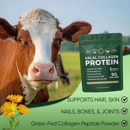 Halal Collagen Protein Powder, Grass-Fed Collagen Peptides Powder, Type I&III, 100% Hydrolyzed for Hair, Skin, Nails, Gut, Bone & Joint Health for Women and Men, Sugar Free, Unflavoured (1)