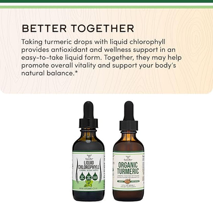 Chlorophyll Liquid Drops - for Digestion, Gut Health, Energy and Detox - Vegan Safe (Rich, Full Texture and Taste, Not Watered Down), 2oz Peppermint Flavored, by Double Wood