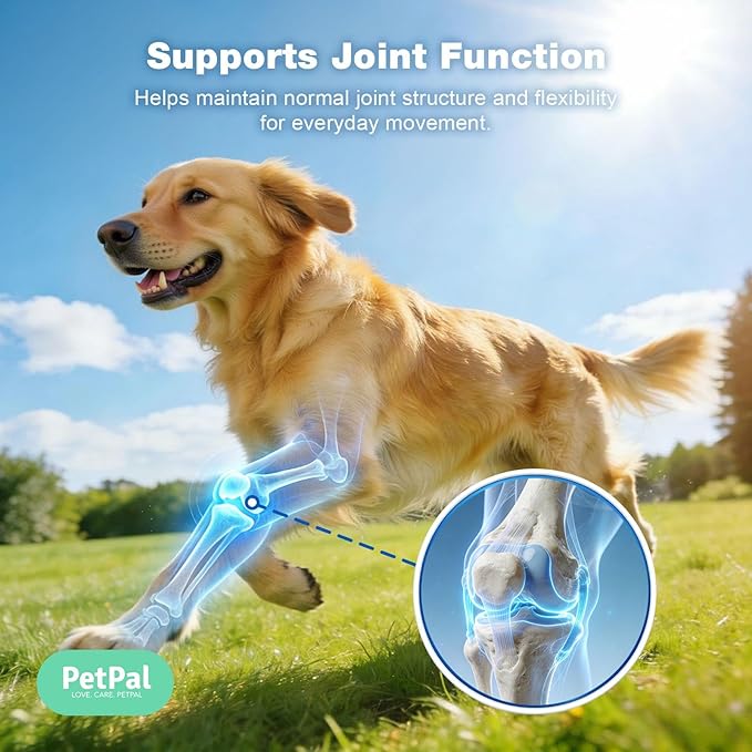 Healthy Dog Treat, Soft Training chew, Support Hip and Joint Health with Glucosamine, Chondroitin Sulfate & MSM, Mobility, Cartilage & Joint Stiffness Relief Supplement, 100 Count