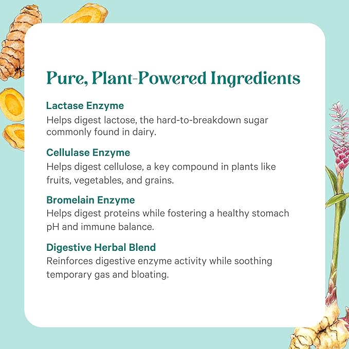 PURE SYNERGY Enzyme Power | Digestive Enzyme Supplement | Digestive Health Enzymes with Nattokinase, Bromelain, and Serrapeptase | for Digestive and Gut Health (90 Capsules)