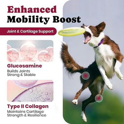 Glucosamine for Dogs - Hip and Joint Supplement Chews for Senior & Large Breed, Joint Supplement for Dogs with Chondroitin, Wuffe Joint Chews for Pain Relief - 60-Day Satisfaction Guarantee - 180 Ct