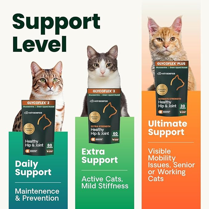 VetriScience Ultimate Strength Healthy Hip & Joint Chews, GlycoFlex Glucosamine, Chondroitin and Green-Lipped Mussel Joint Supplement for Cats, Soothe Joint Discomfort, Fish, 30 Count