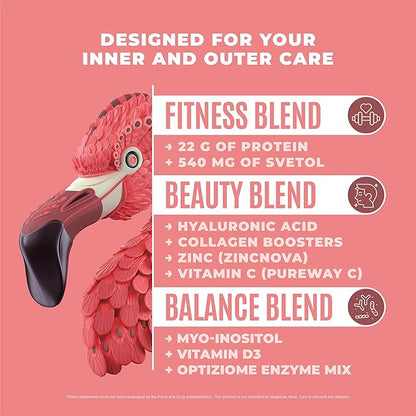 BIRDMAN Fitmingo Vegan Protein Powder with Inositol, Collagen Boosters, Hyaluronic Acid and Vitamins | Low Carb, Dairy Free, Low Calorie | 22g Plant Based Mocha Protein Powder with Myo-Inositol