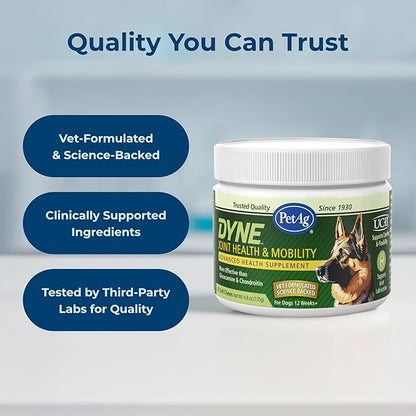 PetAg Dyne Soft Chews, Joint Health & Mobility Supplement - Vet-Formulated for Dogs - with UC-II® Collagen - Up to 4X More Effective Than Glucosamine/Chondroitin - 45 Chicken Liver Flavor Chews