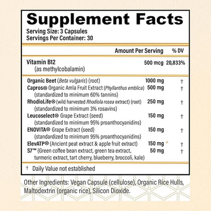 CHOQ Action 2.0 Energy & Circulation Support - Rhodiola Rosea, Beetroot & B12 Supplement - Nitric Oxide Booster for Men & Women - Focus & Recovery - 90 Capsules