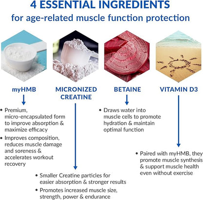 BioTrust Ageless Muscle Builder - Creatine HMB Powder with Vitamin D3 & Betaine - Build & Preserve Naturally Declining Muscle Mass & Strength - Citrus Splash, 30 Servings