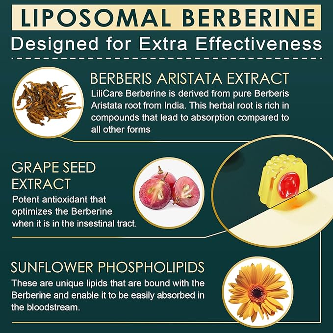 LILICARE Berberine 500mg Supplement, Once Daily, Liposomal Gummies with Ceylon Cinnamon, Bitter Melon, Banaba Leaf for Metabolism Balanced, AMPK Activator, High Absorption, Sugar Free, Vegan, 60 Cts