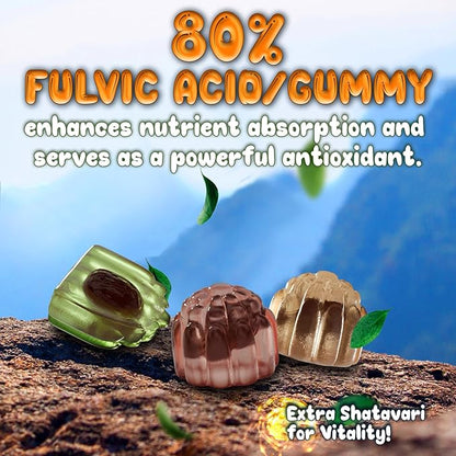 OH MY CHEWY Pure Himalayan Shilajit Gummies - High Potency Gold Grade Resin - Energy Boost and Immune Support for Men and Women with Ashwagandha and Shatavari - 120 Gummy - Peach & Mango