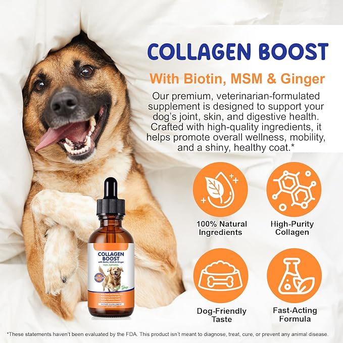 Premium Grass-Fed Liquid Collagen for Dogs - Skin and Coat Support Supplement with Biotin, Vitamin C and Hyaluronic Acid