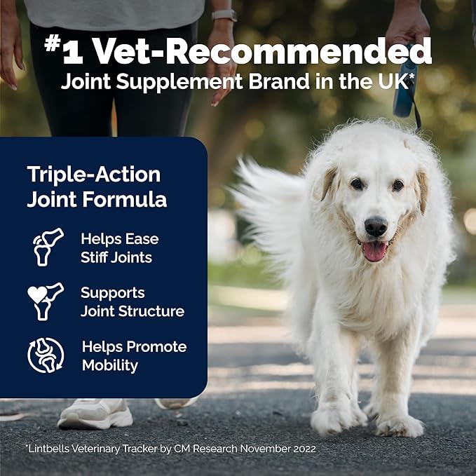 YuMOVE Hip & Joint Supplement for Senior Dogs - with Glucosamine, Omega 3, Hyaluronic Acid, Green Lipped Mussel & Fish Oil for Dogs - Senior Dog Joint Supplement (240ct Chewable Tablets)