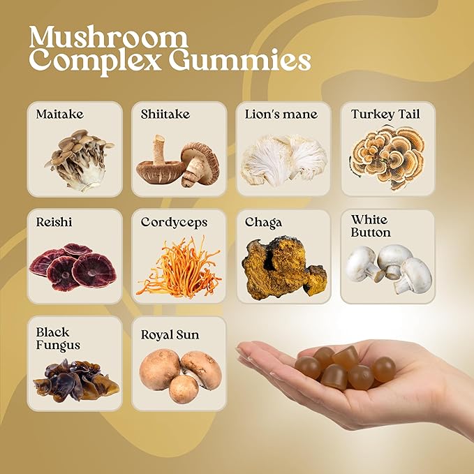 VITA GLOBE Mushroom Complex Gummies with Reishi, Lions Mane Mushrooms, Chaga, Cordyceps & More, Mushroom Supplement for Immune Defense, Energy & Brain Function Support, 250mg, 120 Count (Pack of 2)