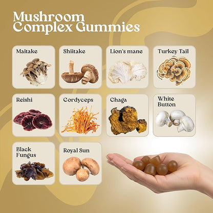 VITA Globe Mushroom Complex Gummies with Reishi, Lions Mane Mushrooms, Chaga, Cordyceps & More, Mushroom Supplement for Immune Defense, Energy & Brain Function Support, 250mg, 60 Count (Pack of 1)