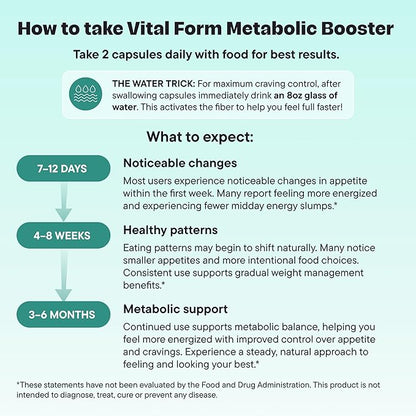 GLP-1 Metabolic Support Supplement – 4-in-1 Formula for Appetite Control, Cravings, Digestion, Energy & Weight Management – With GlucoVantage®, Berberine, Inulin & EGCG – Vegan Capsules