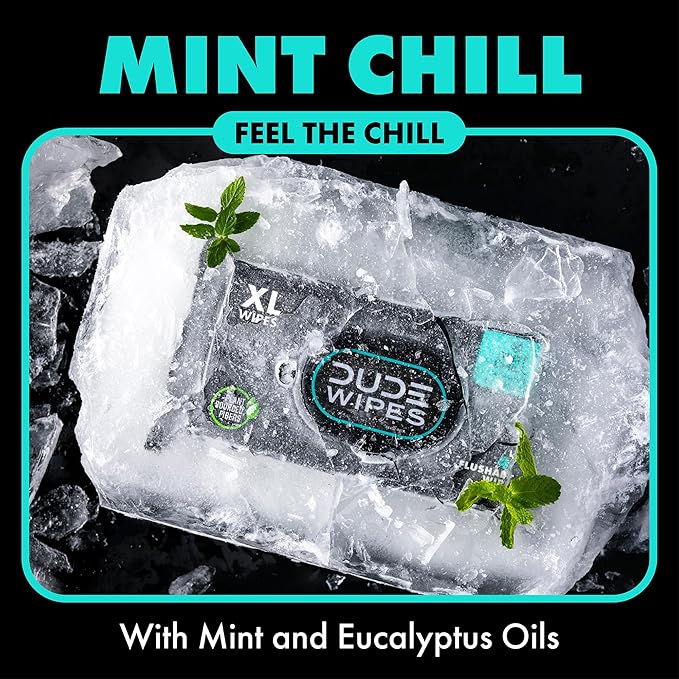 DUDE Wipes Mint Chill Flushable Wipes - Extra-Large Adult Wet Wipes - 3 Pack (144 Count) - Infused with Tea Tree Oil, Vitamin E, and Aloe - Septic and Sewer Safe