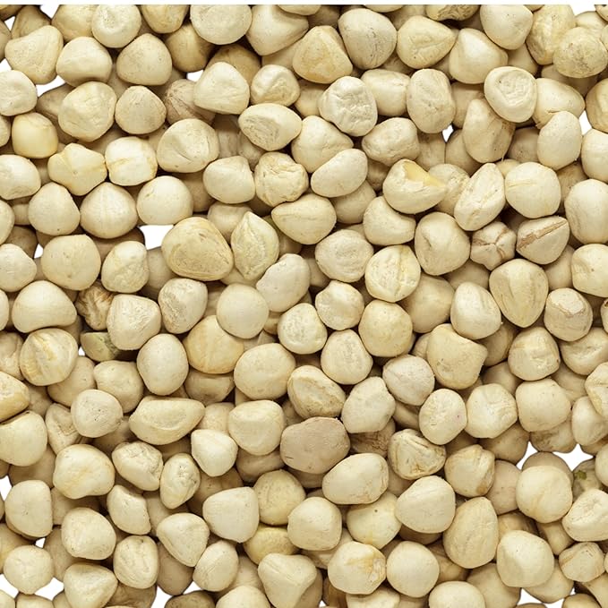 Moringa Seeds KERNEL Shelled Clean - PKM1, Edible, Malunggay, Drumstick Tree, Herbal Tea - Resealable Bag - 56 grams - Premium Quality (Moringa Kernels)