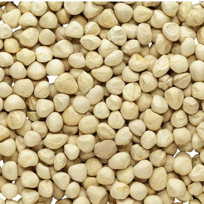 Moringa Seeds KERNEL Shelled Clean - PKM1, Edible, Malunggay, Drumstick Tree, Herbal Tea - Resealable Bag - 56 grams - Premium Quality (Moringa Kernels)