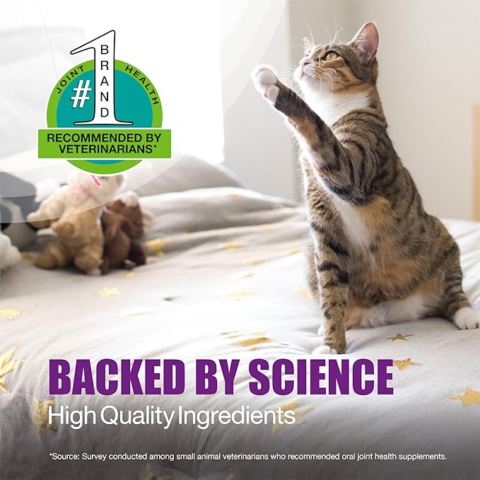 Nutramax Dasuquin Joint Health Supplement for Cats - With Glucosamine, Chondroitin, ASU, Boswellia Serrata Extract, Green Tea Extract, and Omega-3, 84 Soft Chews