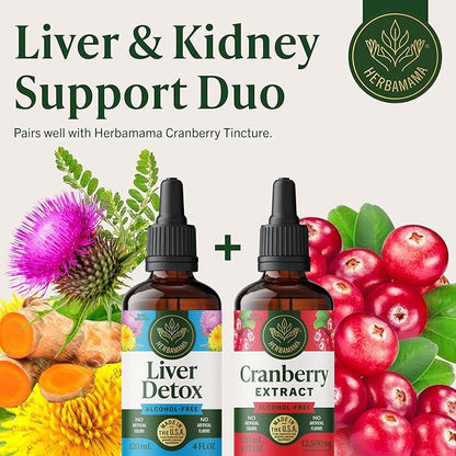 HERBAMAMA Liver Detox Liquid Drops - Vegan Liver Support with Milk Thistle, Dandelion Root, Chanca Piedra & Turmeric Tincture - Non-GMO, Alcohol & Sugar-Free Supplement - 84-Day Supply