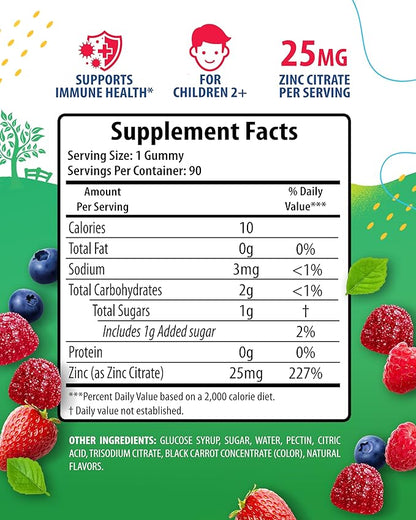 Zinc Gummies for Kids - Chewable Zinc Gummy Supplement for Children Immune Support - Low Sugar Natural Antioxidant Non-GMO Vitamin Chewables for Toddlers & Teens - 90 Gummies