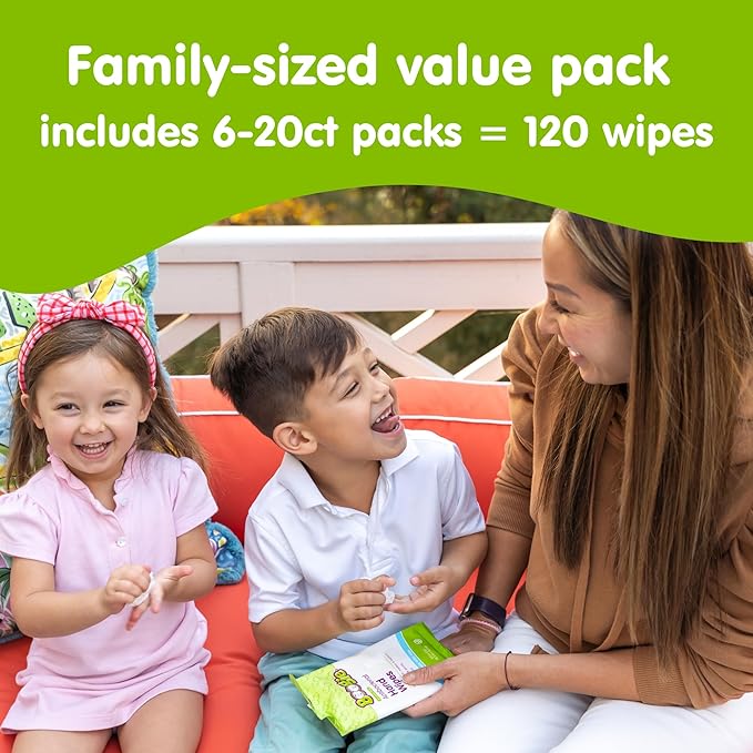 Antibacterial Hand Wipes by Boogie, Alcohol Free, Hypoallergenic and Moisturizing Aloe, Hand Wipes for Kids and Adults, 6 Packs of 20 (120 total wipes)