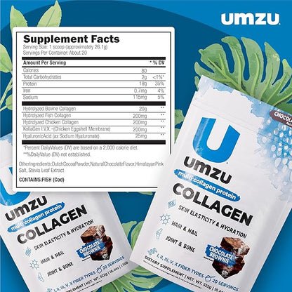 UMZU zuCollagen Multi Collagen Protein Powder, Chocolate – 5 Collagen Types I II III V X – High Protein Low Calorie Supplement for Hair Growth Skin Elasticity Joint Health and Daily Recovery Support