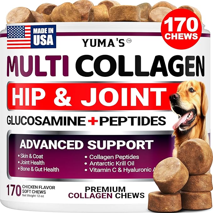 YUMA'S Advanced Collagen for Dogs - 170 Chews - Hip and Joint Supplement - Multi-Collagen Peptides - Skin & Coat Health, Cartilage & Mobility Support - Glucosamine, Vitamin C, Hyaluronic Acid