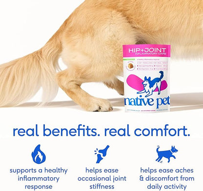 Native Pet Inflammatory Care - Pain Relief for Dogs - Green-Lipped Mussel, Turmeric & Collagen for Dogs - Hip and Joint Supplement Supports Healthy Inflammatory Response & Joint Comfort - 30 Chews