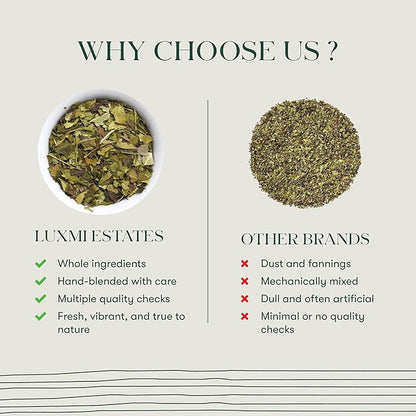 Luxmi Estates - Moringa Mint Tea Loose Leaf - 50g, 1.76 Oz (25 cups) | Moringa and Mint