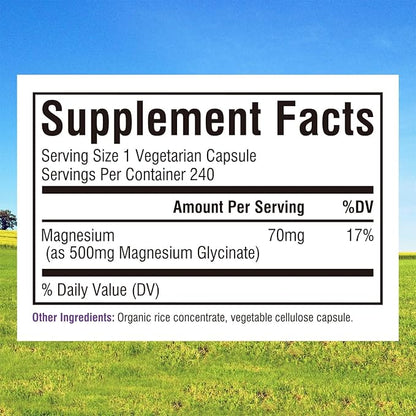 Innate Vitality Magnesium Glycinate 500mg | 70mg Elemental Magnesium Supplement - High Absorption, Non Buffered, Non-GMO & No Gluten - Vegan - Nerve Health - 240 Capsules (Pack of 1)