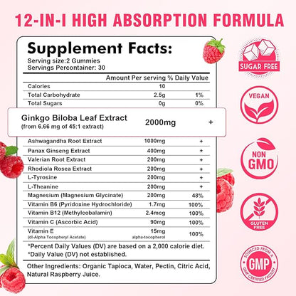 2 Pack Ginkgo Biloba Gummies with Panax Ginseng and Magnesium, Ginkgo Biloba Supplements for Focus, Memory, and Brain Health for Adults & Kids, Vegan Raspberry Flavor Gummies, 120 Count