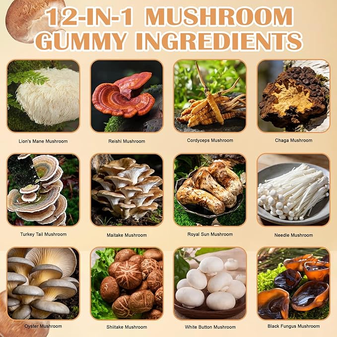 Lions Mane Mushroom Supplement Gummies: Daily Mushroom Supplements Gummy for Memory & Focus,12-Mushroom Blend with Cordyceps,Reishi,Chaga,Herbal Brain Supplement for Cognitive,60 Gummies