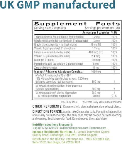 Igennus High Strength Ashwagandha, Magnesium, & L-Theanine Stress Relief Complex, KSM-66 Root Extract Adaptogens, Boosted with Methylfolate, Zinc & Biotin Clean Label, 60 Fast Acting Capsules