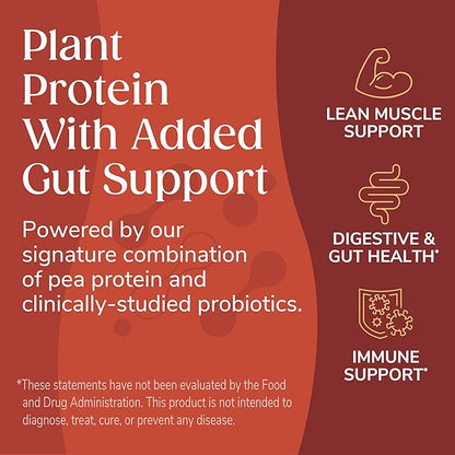 Wonderslim Protein Chips with Probiotics, BBQ | 12g Plant Protein, 170 Cal | High Protein Chips, Vegan, Gluten Free, Non-GMO | Made with Avocado Oil, No Seed Oils | 12 Pack