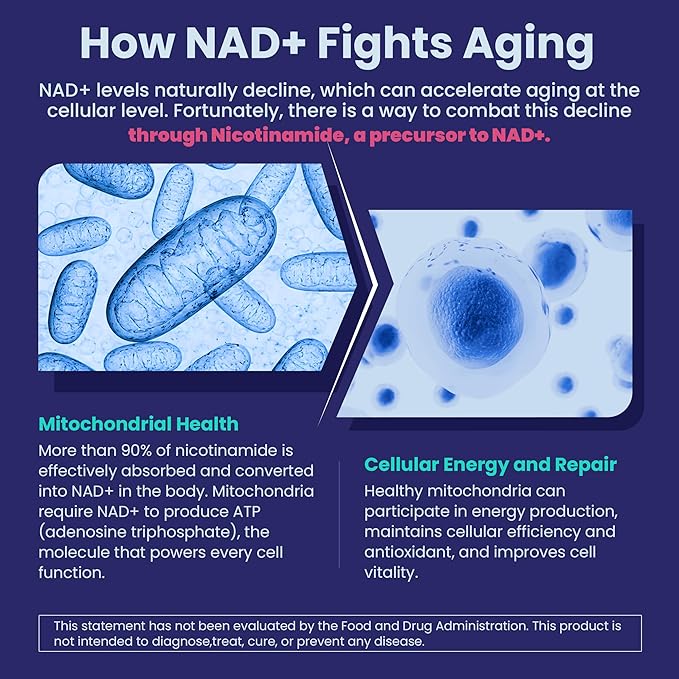 NEVISS Nicotinamide 500mg Gummies, Niacinamide Supplement with Collagen Peptides, (Flush Free Niacin) Vitamin B3 Niacinamide for Anti-Aging, NAD+ Levels, Longevity, Focus & Brain, Sugar Free, 60Cts