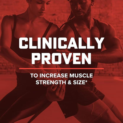 GNC AMP Wheybolic Clinically Proven Protein Powder, 40g Whey Protein, BCAA, Leucine, Increases Muscle Strength, Muscle Building, 3rd Party Tested, Gluten Free, Strawberries and Cream, 10 Servings