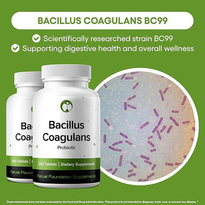 Natural Foundation Supplements Bacillus Coagulans Probiotic Supplement 240 Tablets 3 Billion CFU Probiotics for Men & Women Supports Intestinal Digestive & Gut Health (240, Bacillus Coagulans)