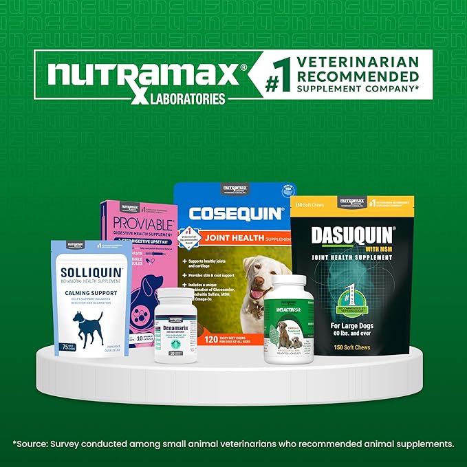 Nutramax Welactin Omega 3 Fish Oil for Dogs, Skin and Coat Health Supplement, Plus Joint, Immune, Kidney, and Brain Support, Premium Omega 3 Fatty Acids, For Dogs, 16 Ounce Liquid