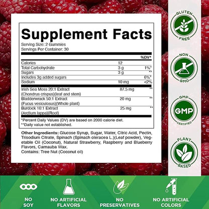 Vitamatic Irish Sea Moss Gummies with Bladderwrack & Burdock Root – Botanical Extract Supplement – Vegan, Non-GMO – 60 Count