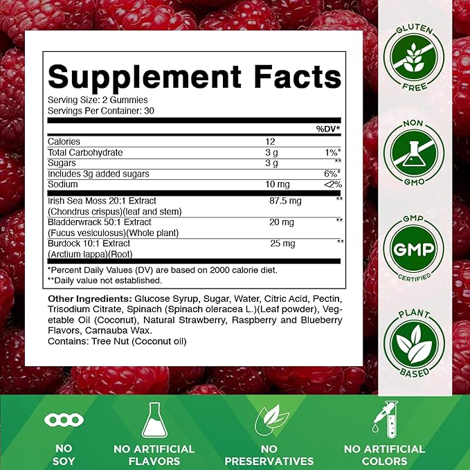 Vitamatic Irish Sea Moss Gummies with Bladderwrack & Burdock Root – Botanical Extract Supplement – Vegan, Non-GMO – 60 Count - 2 Pack (120 Count)
