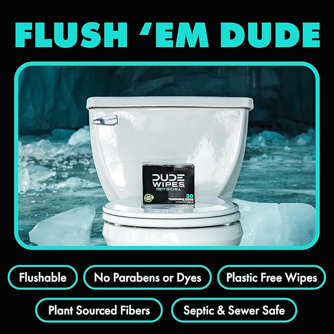 DUDE Wipes - On-The-Go Flushable Wipes - 4 Pack, 60 Count - Mint Chill Extra-Large Individually Wrapped Adult - with Eucalyptus & Tea Tree Oil - Septic and Sewer Safe