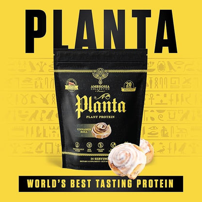 Ambrosia Planta - Premium Plant-Based Protein | Vegan & Keto Friendly | Gourmet Flavors with No Bloating or Stomach Upset | Gluten & Soy Free | No Added Sugar | 14 Servings | (Cinnamon Roll)