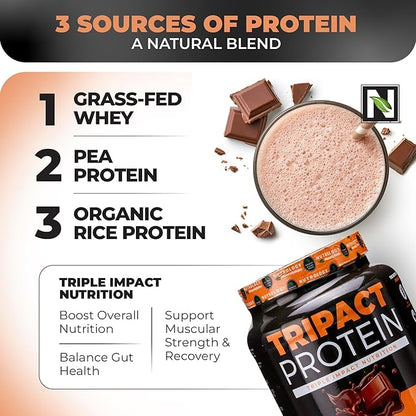 Nutrology TRIPACT Protein Powder - 7-in-1 Meal Replacement Shake with Grass Fed Whey Protein Powder, Pea, Rice, Greens for Muscle Recovery & Immunity, Creamy Chocolate Flavor, 20 Servings