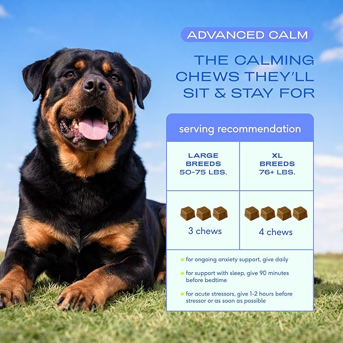 Native Pet Advanced Calming Chews for Dogs Large Breed - Anxiety Relief, Stress, Separation & Sleep Support with Melatonin for Dogs, Hydrolyzed Casein, Valerian Root & L-Tryptophan - 30 Days Supply