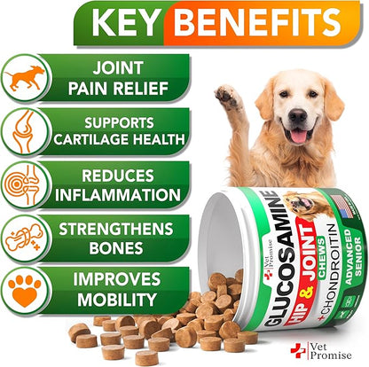 Advanced Glucosamine for Dogs - 170 Chews - Senior Hip and Joint Supplement for Dogs - Glucosamine Chondroitin - Dog Joint Health Pain Relief Pills - MSM - Mobility Support Supplement - Made in USA