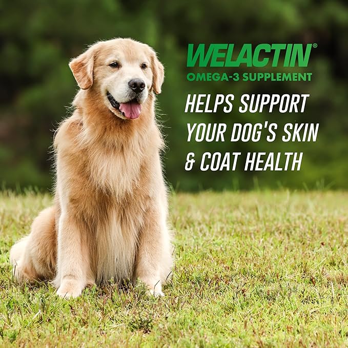 Nutramax Welactin Omega 3 Fish Oil for Dogs,Skin and Coat Health Supplement,Plus Joint,Immune,Kidney,and Brain Support,Premium Omega 3 Fatty Acids,for Dogs,16 Ounce Liquid,(Pack of 2)